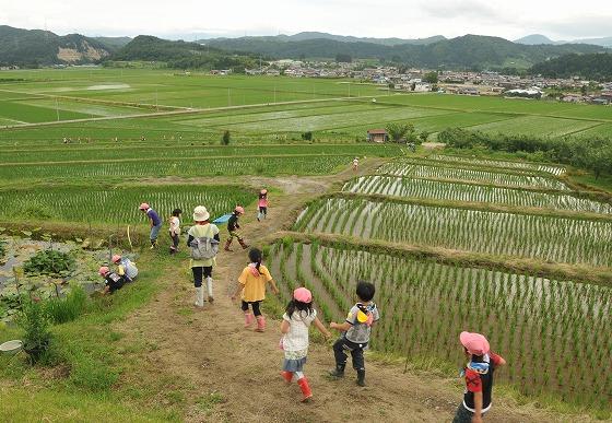 バスに戻る園児たちの写真