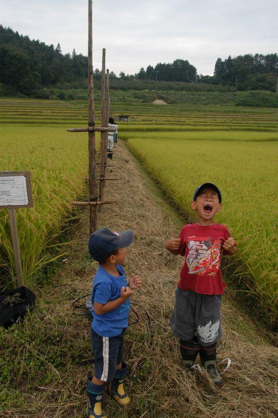 子どもが大声を出している様子の写真1