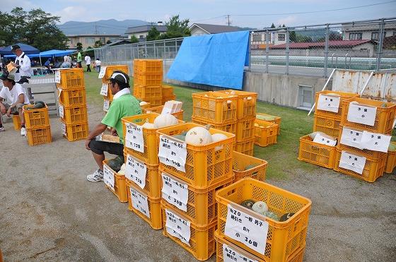 宮宿小学校の校庭に並べられたかぼちゃ運動会の賞品のかぼちゃが入った大量の黄色いケースとケースに腰を掛ける2人の男性の写真