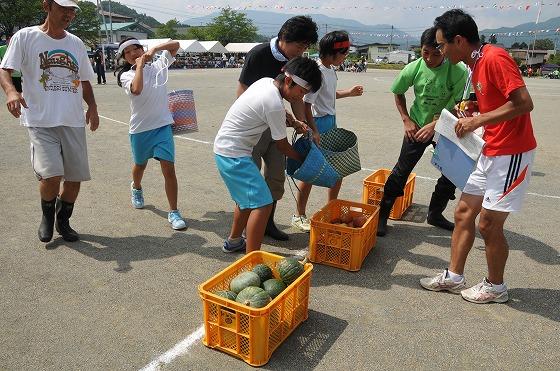 競技「親子でかぼちゃりんご狩り」に参加中の黄色いケースに分けて入れられたカボチャとりんごをかごの中に入れる親子の写真