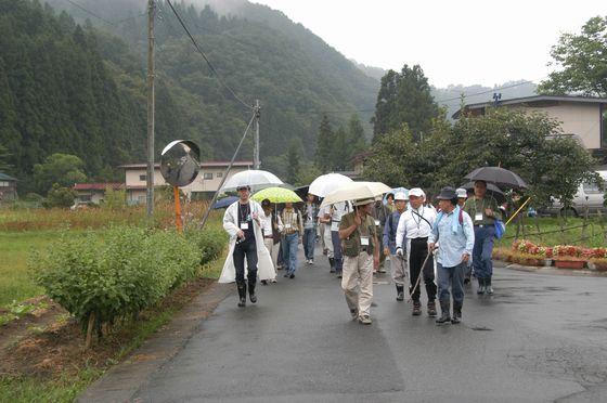 用のはげ(明神断崖)と周辺めぐりの様子の写真1