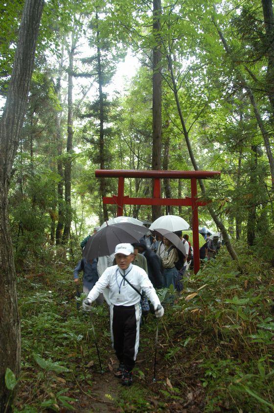 用のはげ(明神断崖)と周辺めぐりの様子の写真2