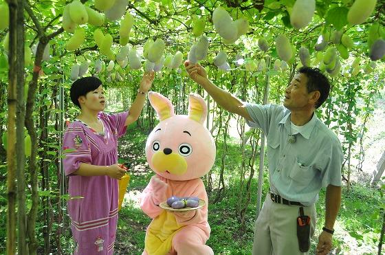 三浦友加さん、五十嵐義信さん、ウサヒの写真
