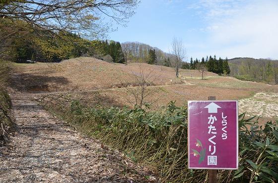 広大な景色の広がる場所の写真