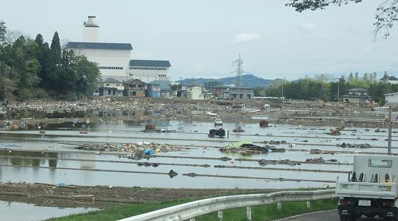 2011年5月の写真