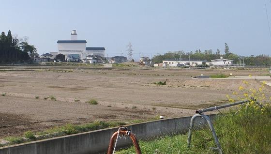 今回の写真