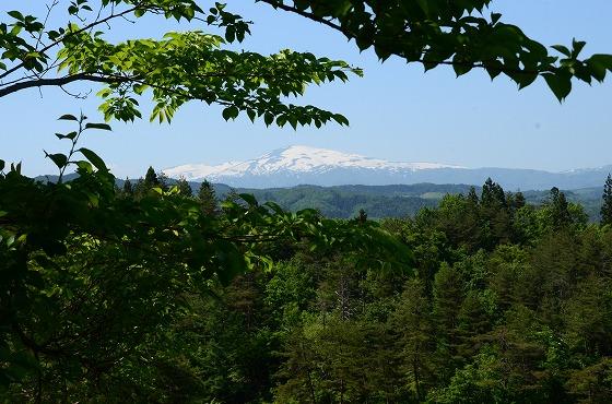 一本松公園から雪をかぶった月山を遠望する写真