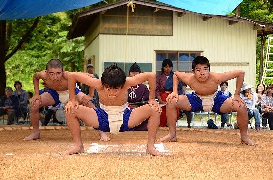 力強いそろい踏みの様子の写真
