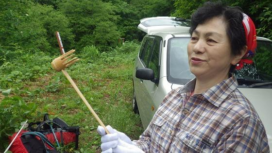不思議な形の調理道具の写真