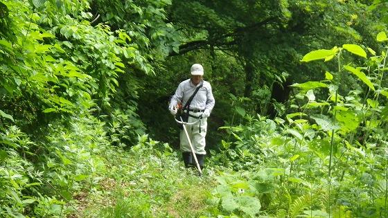町山岳会 登山道の維持作業の様子の写真3