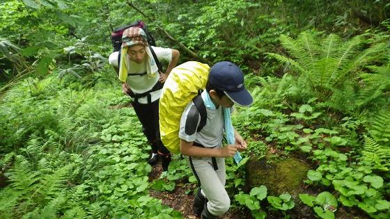 町山岳会 登山道の維持作業の様子の写真5