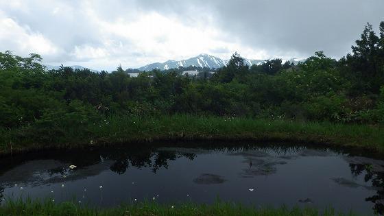 鳥原小屋から遠くへ眺めた朝日連峰の写真