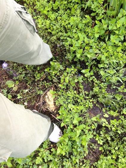 ぬかるみに足を取られる様子の写真