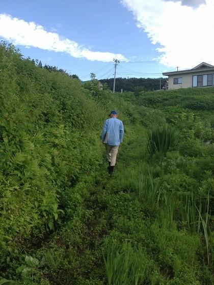 新聞配達を終えた区長の写真