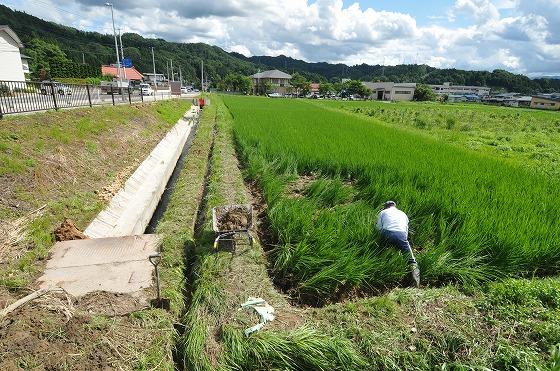 田んぼアフターの写真