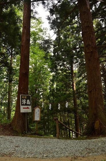 大沼への道筋の写真