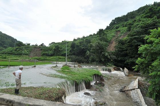 川の水が脇の田んぼを覆っている写真
