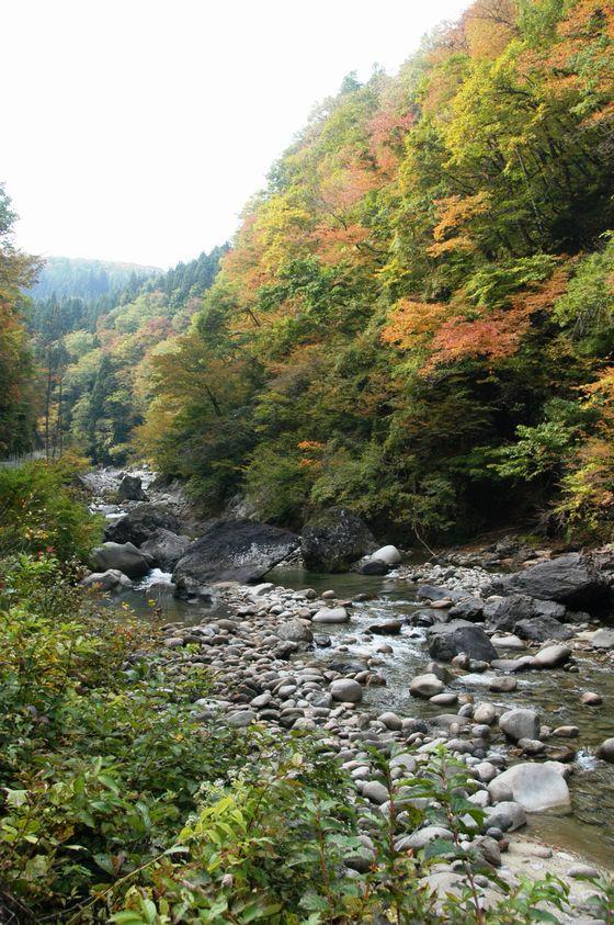 朝日川渓谷の立木のゲートを越えた先の森合付近の写真1