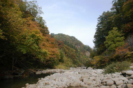 朝日川渓谷の立木のゲートを越えた先の森合付近の写真2