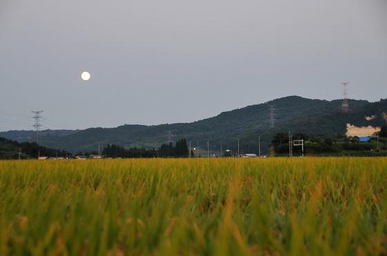 中秋の名月の撮影写真1