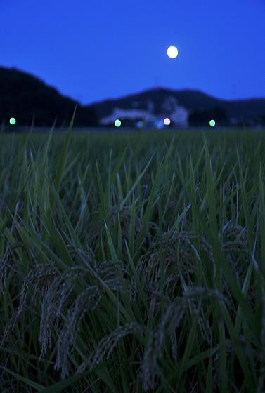中秋の名月の撮影写真4