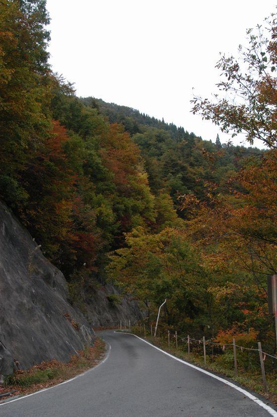 朝日川渓谷の木川ダムを越えて間もなくのところの写真2