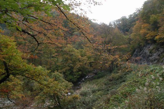 朝日川渓谷の朝日岳白滝登山口付近の写真1