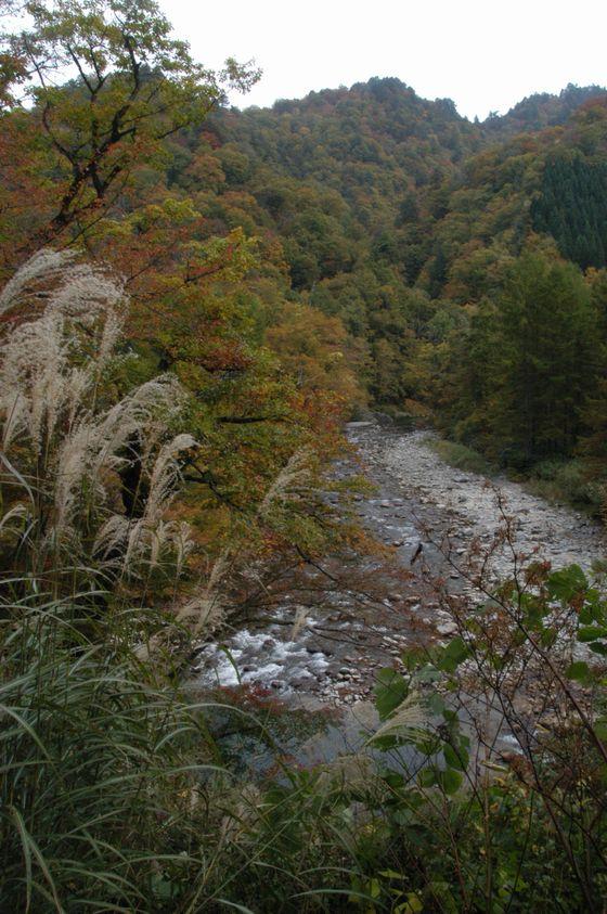 朝日川渓谷の朝日岳白滝登山口付近の写真2