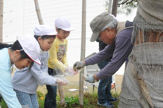 児童に種をわける阿部副会長の様子の写真