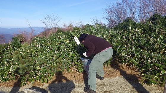 小屋周辺の清掃活動の写真