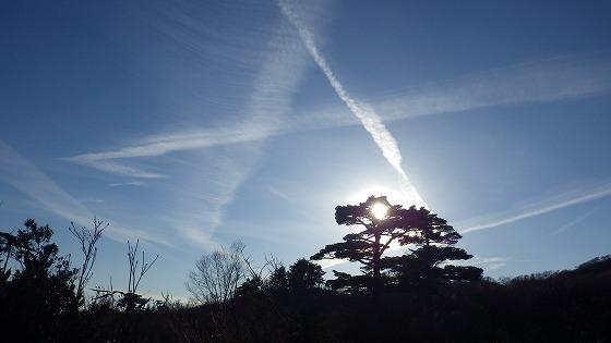 きれいな写真