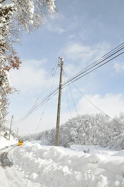 前後の電線が道路に垂れ下がっている写真