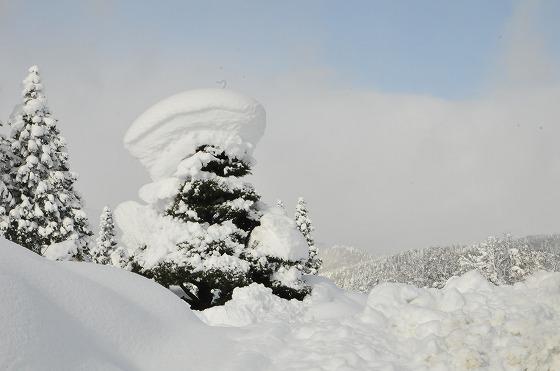 3日間の積雪量を物語る写真