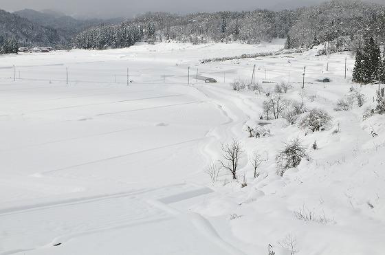 大谷地区の田んぼの写真