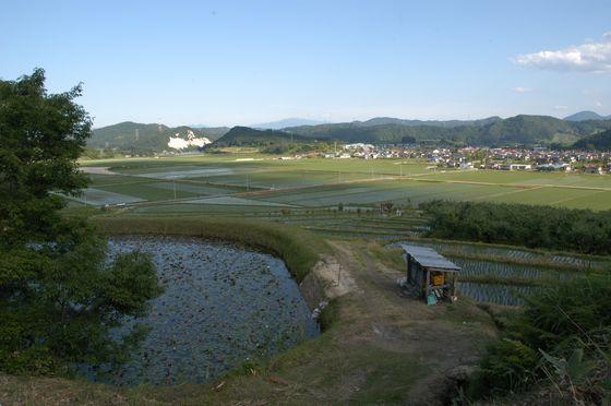 夕方に撮影した大谷地内ため池の睡蓮の写真1