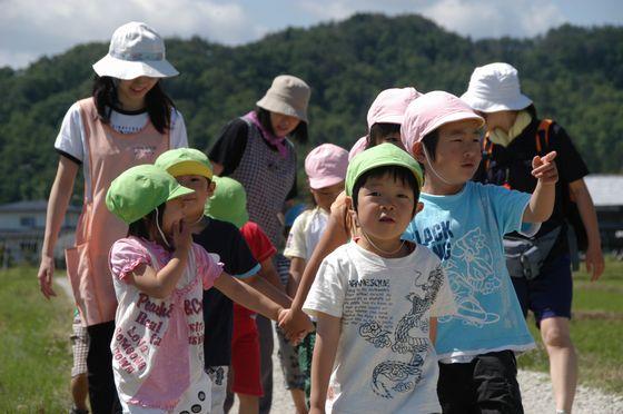 畦道をピクニックするわかば保育園の園児達の写真4
