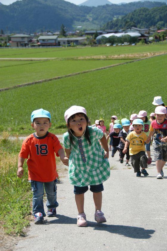 畦道をピクニックするわかば保育園の園児達の写真5