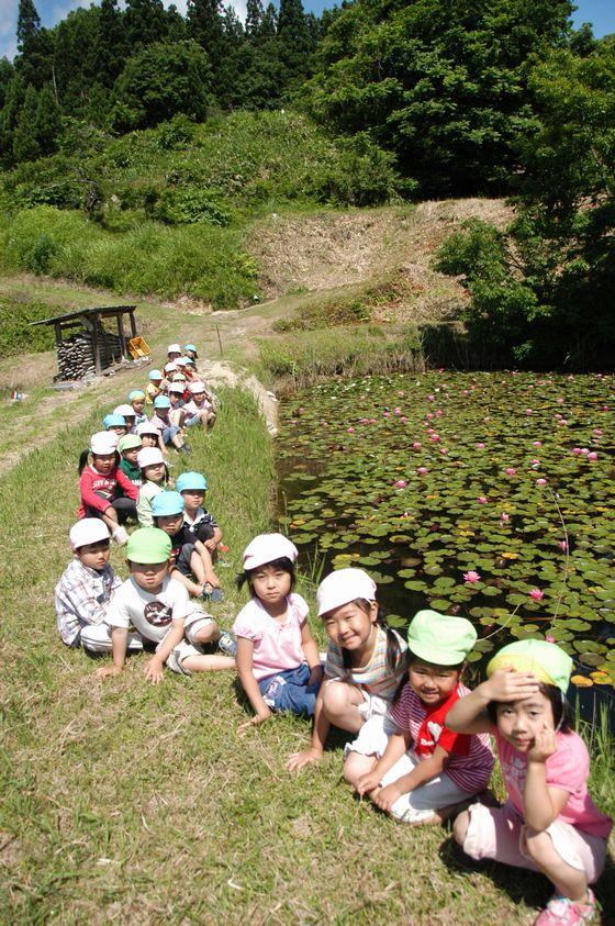 睡蓮を背に撮影した園児たちの写真2