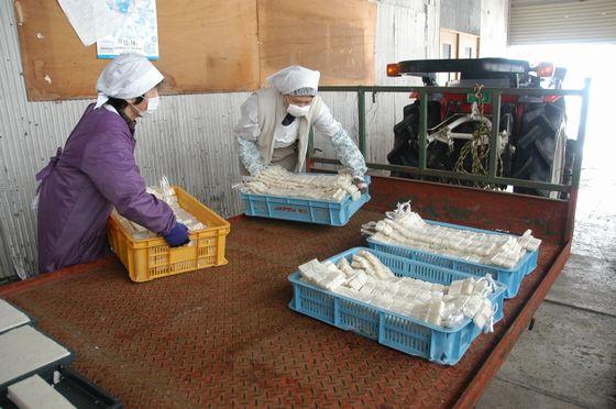 トラクターの荷台に米をのせる様子の写真