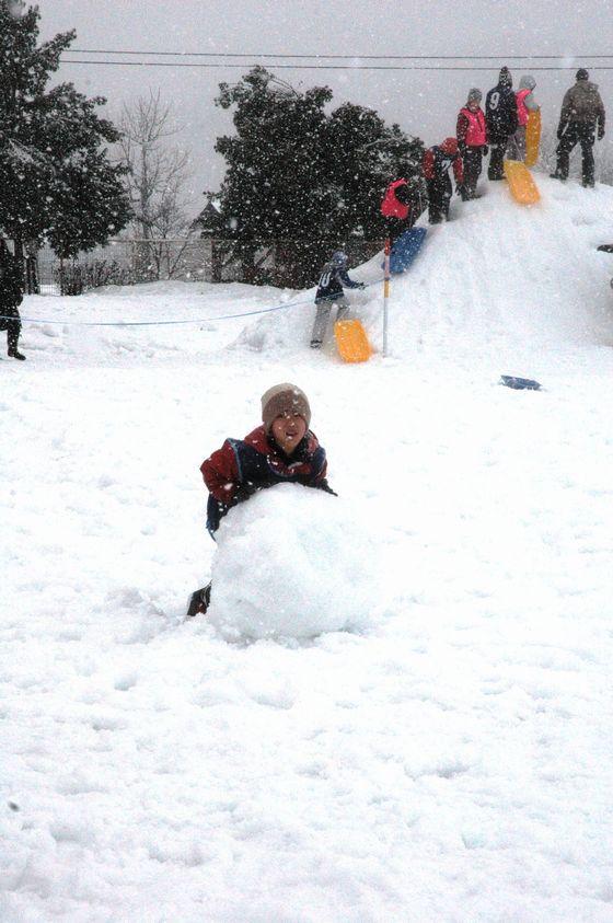 雪を転がす子どもの写真