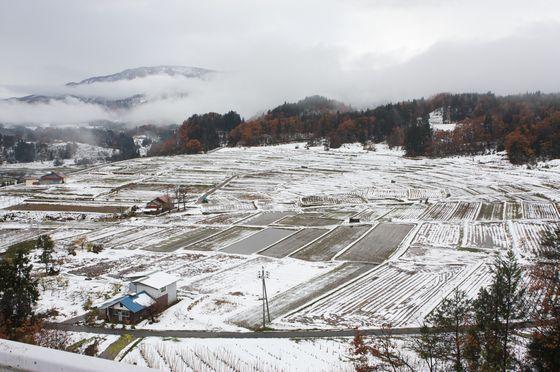 雪に覆われた畑の写真