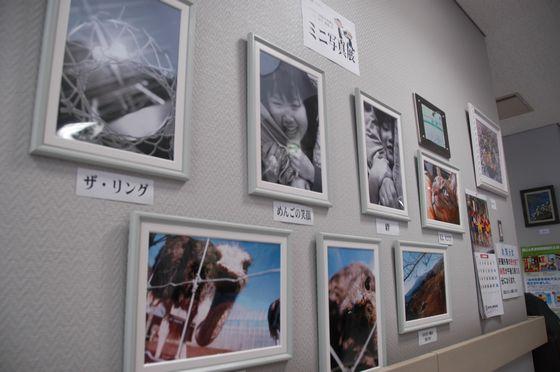 ミニ写真展の写真
