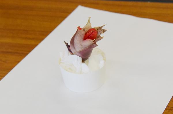 みょうがの花?の写真