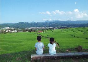 孫の夏休み
