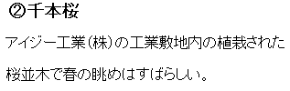 2.千本桜 アイジー工業株式会社の工業敷地内に植栽された桜並木で春の眺めは素晴らしい。