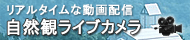 リアルタイムな動画配信 自然観ライブカメラ