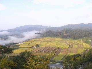 椹平の棚田の写真