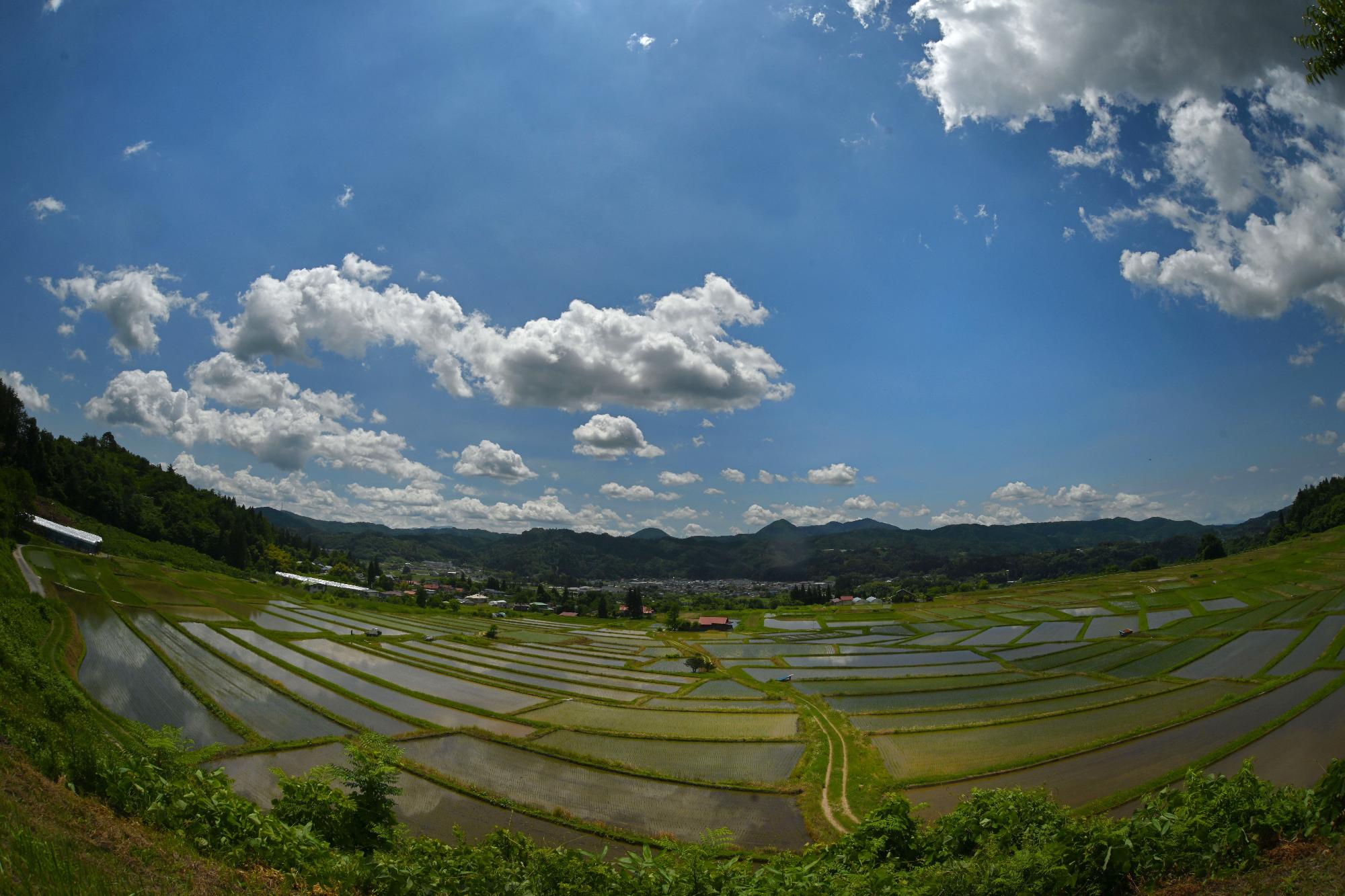 水鏡の椹平棚田