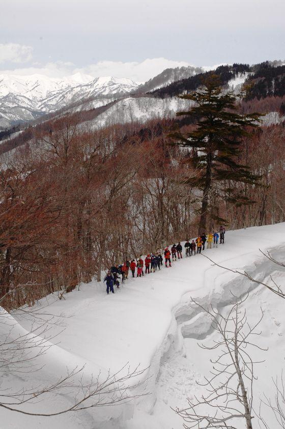 雪渓を歩く参加者一堂の写真