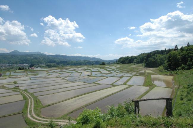 椹平の棚田(春)の写真1